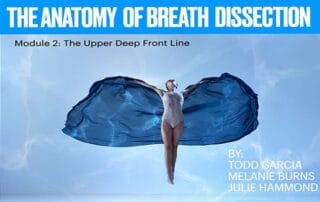 the-anatomy-of-breath-dissection