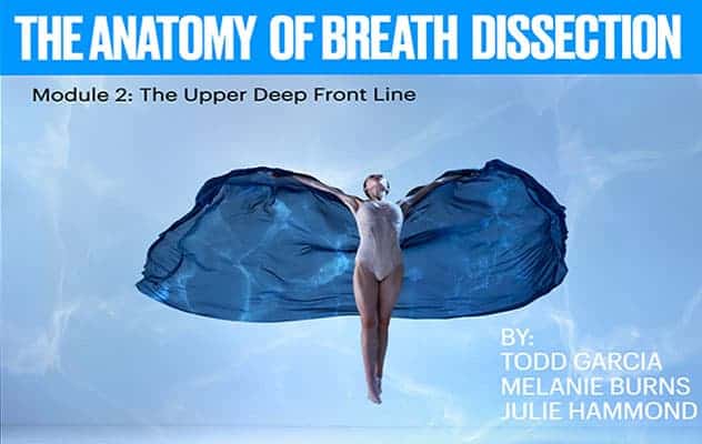the-anatomy-of-breath-dissection